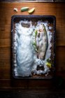 Forelle in einer Salzkruste — Stockfoto