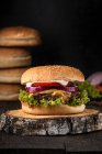 Cheeseburger classico con pomodori, cipolle rosse e maionese — Foto stock