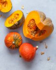 Pumpkin varieties close-up view — Stock Photo