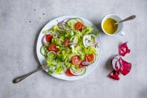 Salade mixte avec tomates et oignons rouges — Photo de stock