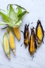 Pannocchie di mais e cipolle gialle fresche su sfondo bianco — Foto stock