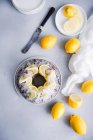 Lemon Blueberry Bundt Cake — Stock Photo
