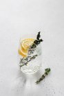Soda with lemon and thyme — Stock Photo