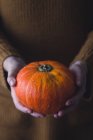 Hands holding a pumpkin with a large white pattern on a wooden background. — Stock Photo