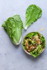 Romaine Salat mit Hühnerbrust — Stockfoto