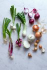Different onions close-up view — Stock Photo