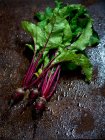 Fresh red beet with leaves on a black background — Stock Photo