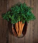 Молода морква з зеленими стеблами в плетеному кошику — стокове фото