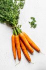 Пов'язаний букет моркви з зеленими стеблами на поверхні каменю — стокове фото