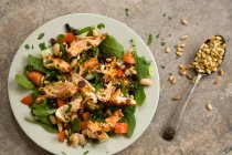 Harissa chicken salad with fresh spinach — Stock Photo