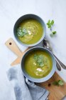 Легкий брокколи суп в двух мисках — стоковое фото