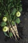 Un ramo de perejil, flores de brócoli y manzanas verdes sobre fondo oscuro - foto de stock