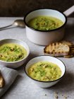 Potato and leek cream soup with parley pesto and walnuts — Stock Photo
