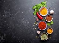 Especias e ingredientes tradicionales indios - foto de stock