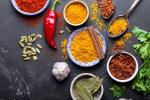 Traditionelle indische Gewürze und Kräuter — Stockfoto