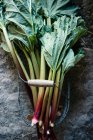 Fresh rhubarb in a wire basket — Stock Photo