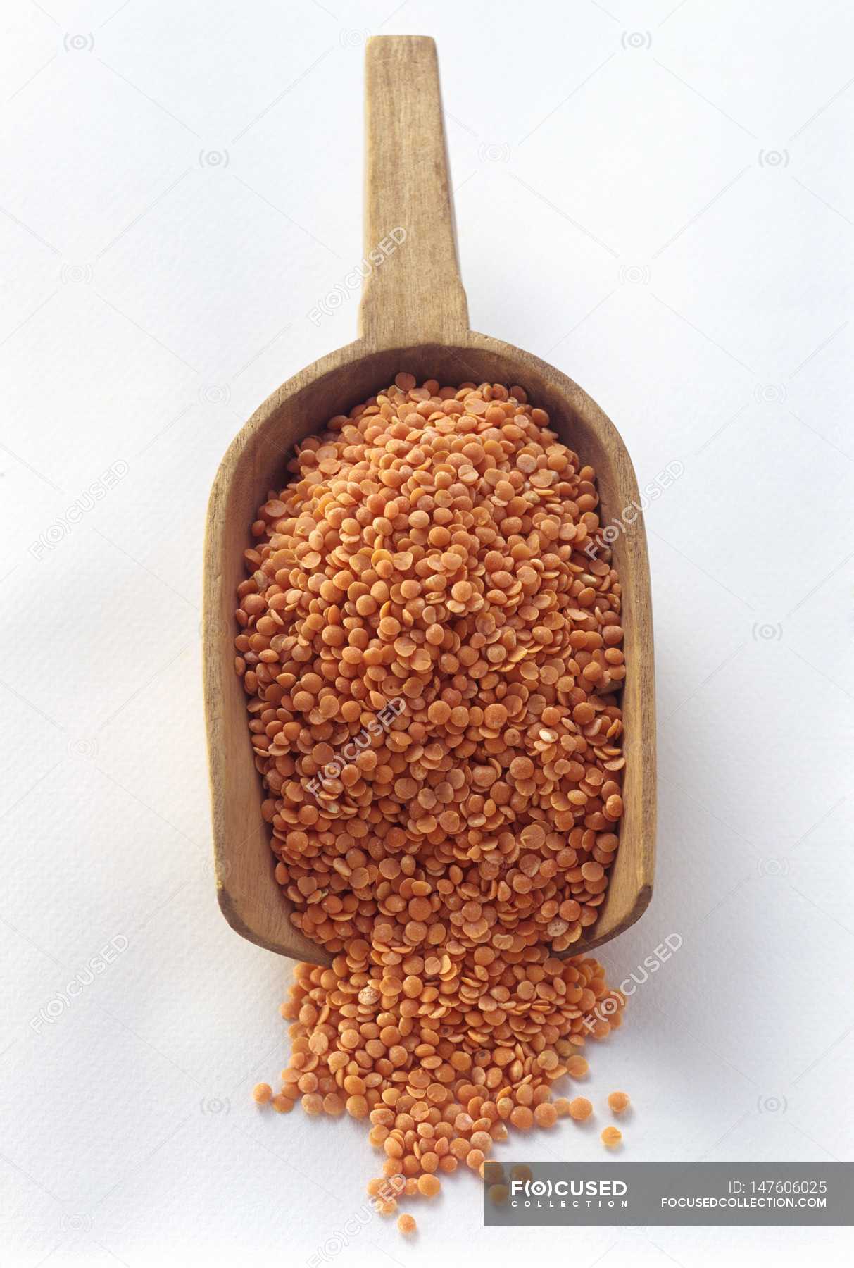 Indian Brown Lentils — foodstuff, cereal - Stock Photo | #147606025