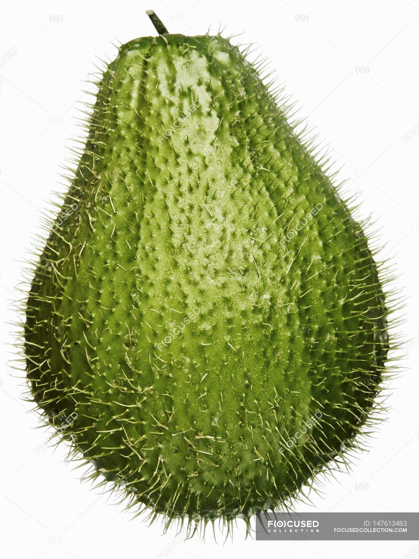 Prickly chayote on white background — raw, freestanding - Stock Photo 