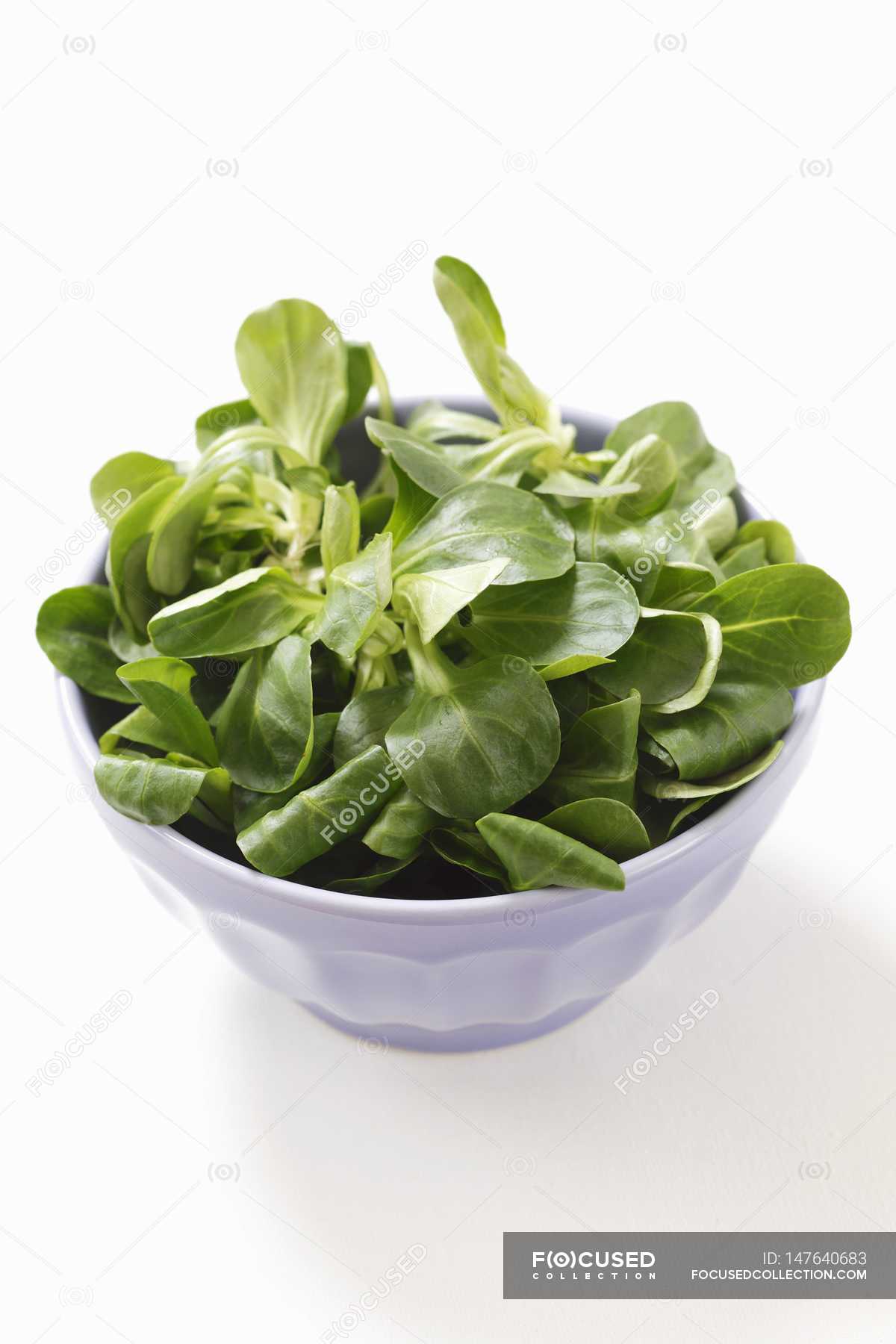 Fresh lambs lettuce in bowl — Domestic Life, appetite Stock Photo