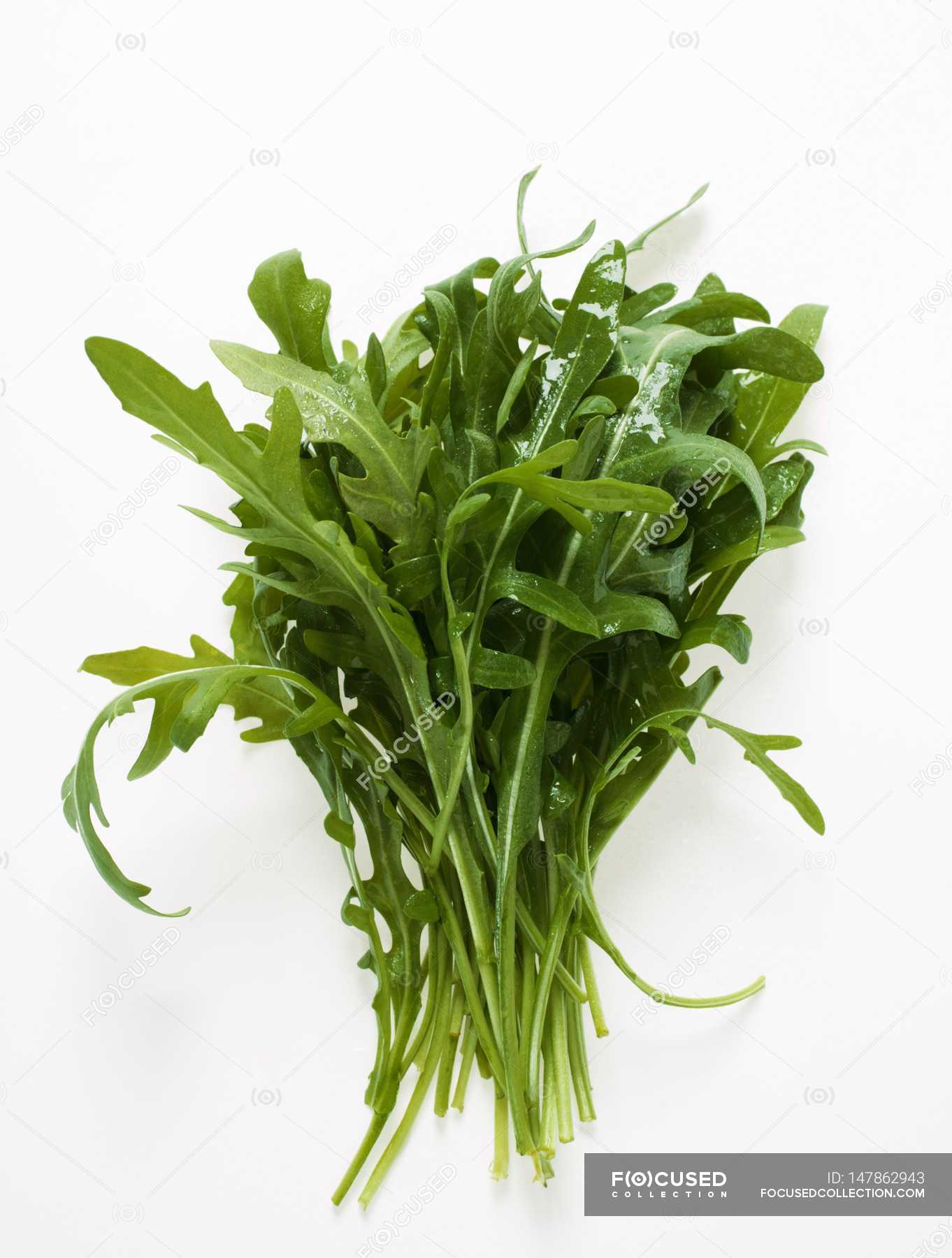 Green Rocket leaves — lifestyle, herbal - Stock Photo | #147862943