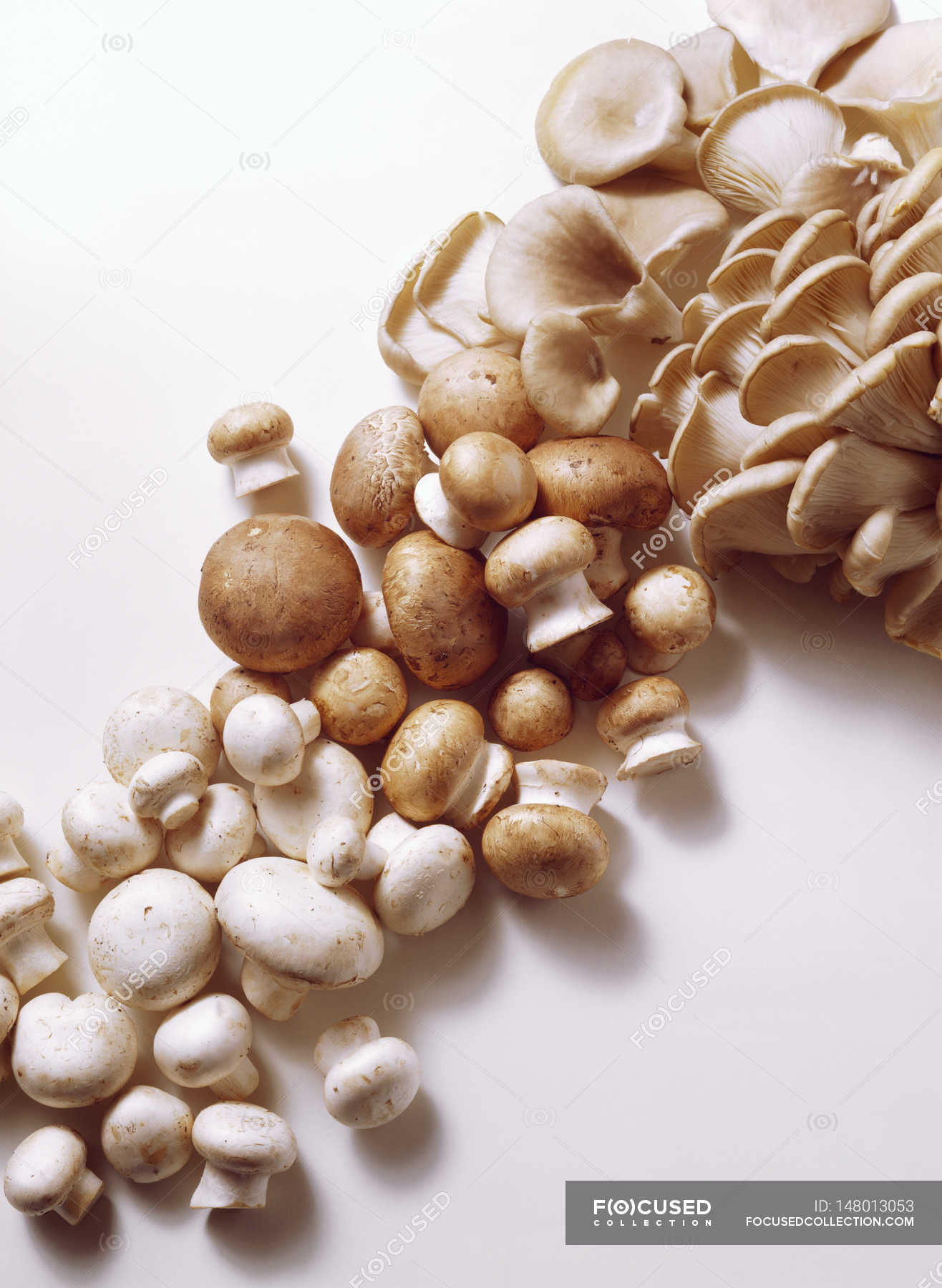 White, Brown, Oyster Mushrooms — fresh, Food and drink Stock Photo
