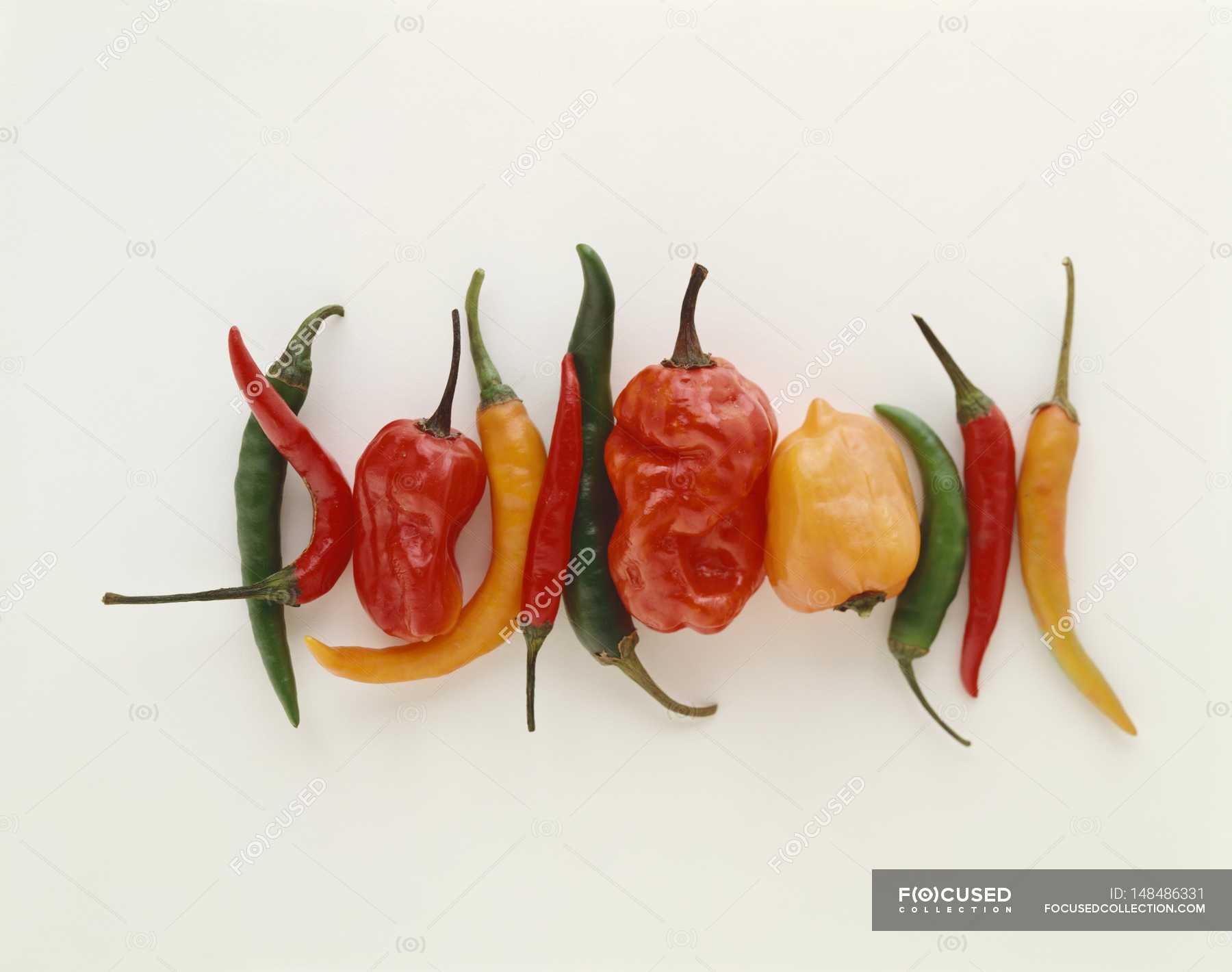 Various types of chilli — meal, delicious - Stock Photo | #148486331