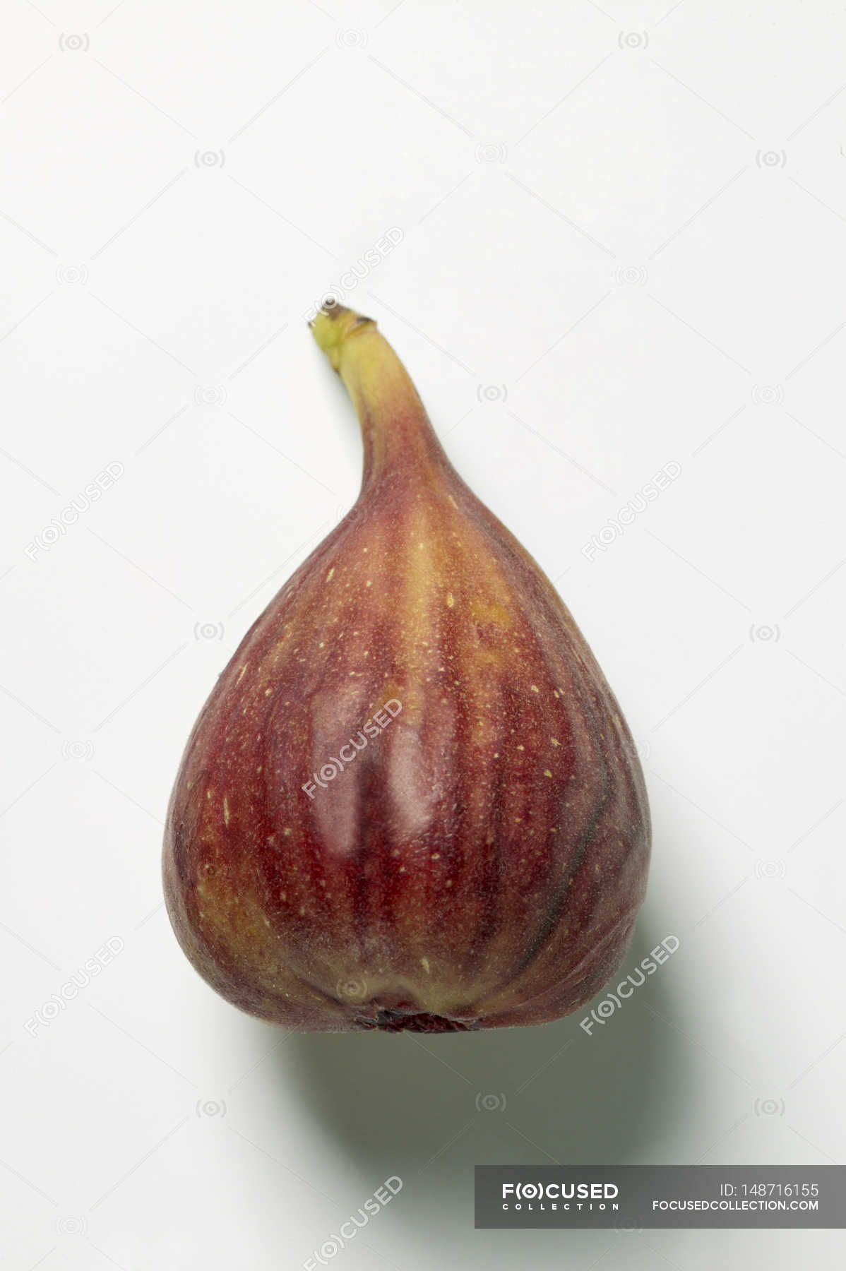 Fresh ripe fig — delicious, organic - Stock Photo | #148716155