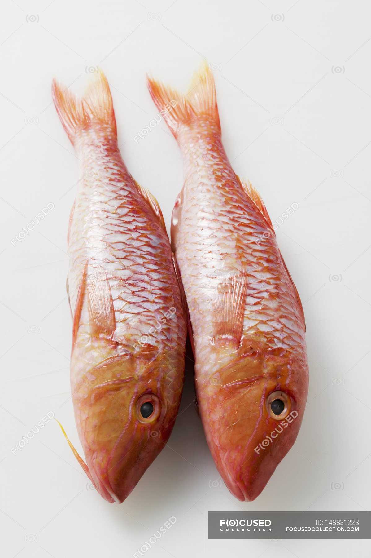 Пеленгаса. Барабулька средиземноморская. Рыба cherne. Red mullet рыба. Кефаль кости.