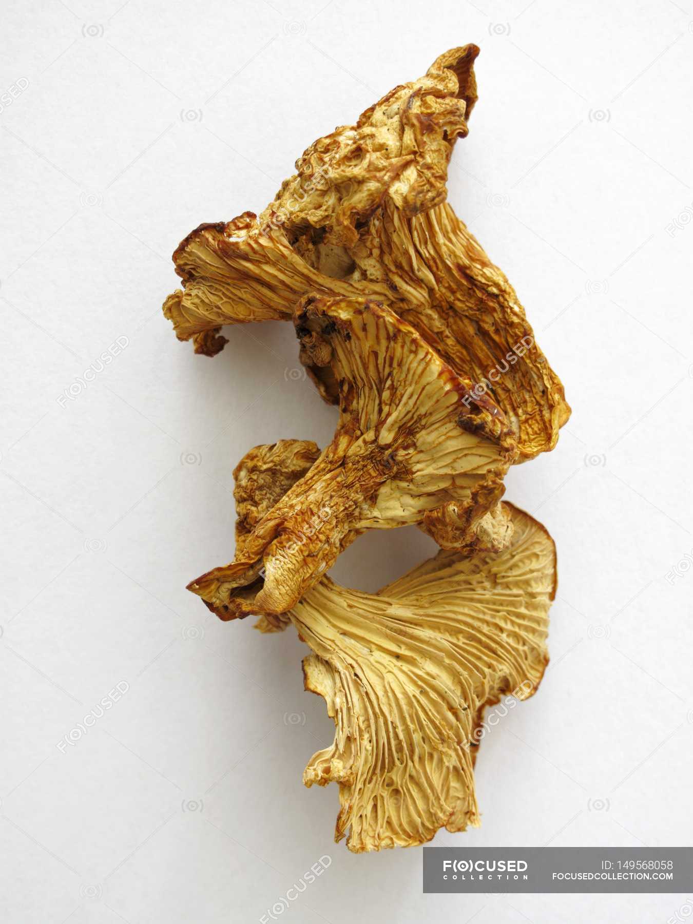 Dried chanterelle mushrooms — three, ingredient Stock Photo 149568058