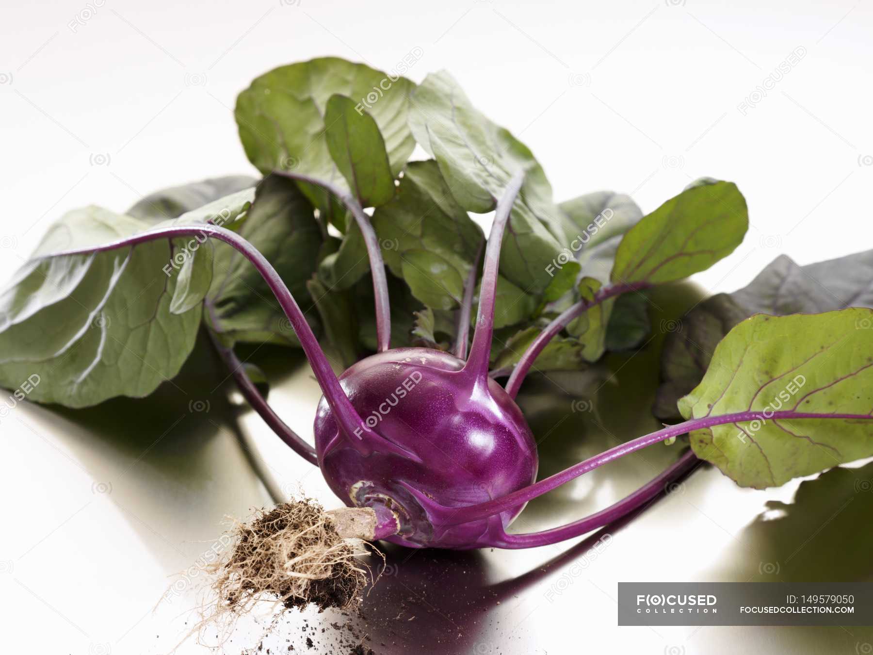 Fresh picked purple kohlrabi — raw food, organic food - Stock Photo ...