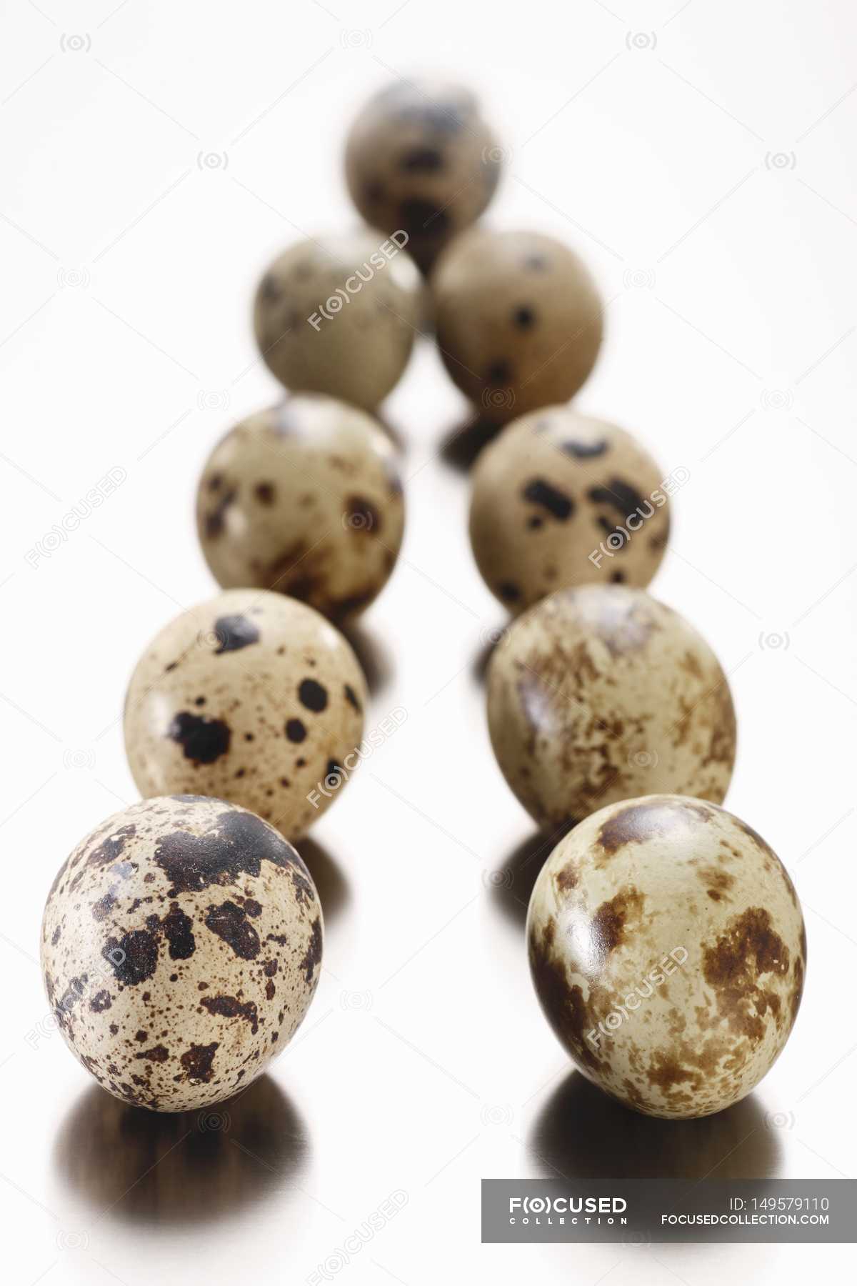 Quail Eggs Cholesterol at Jo Smith blog