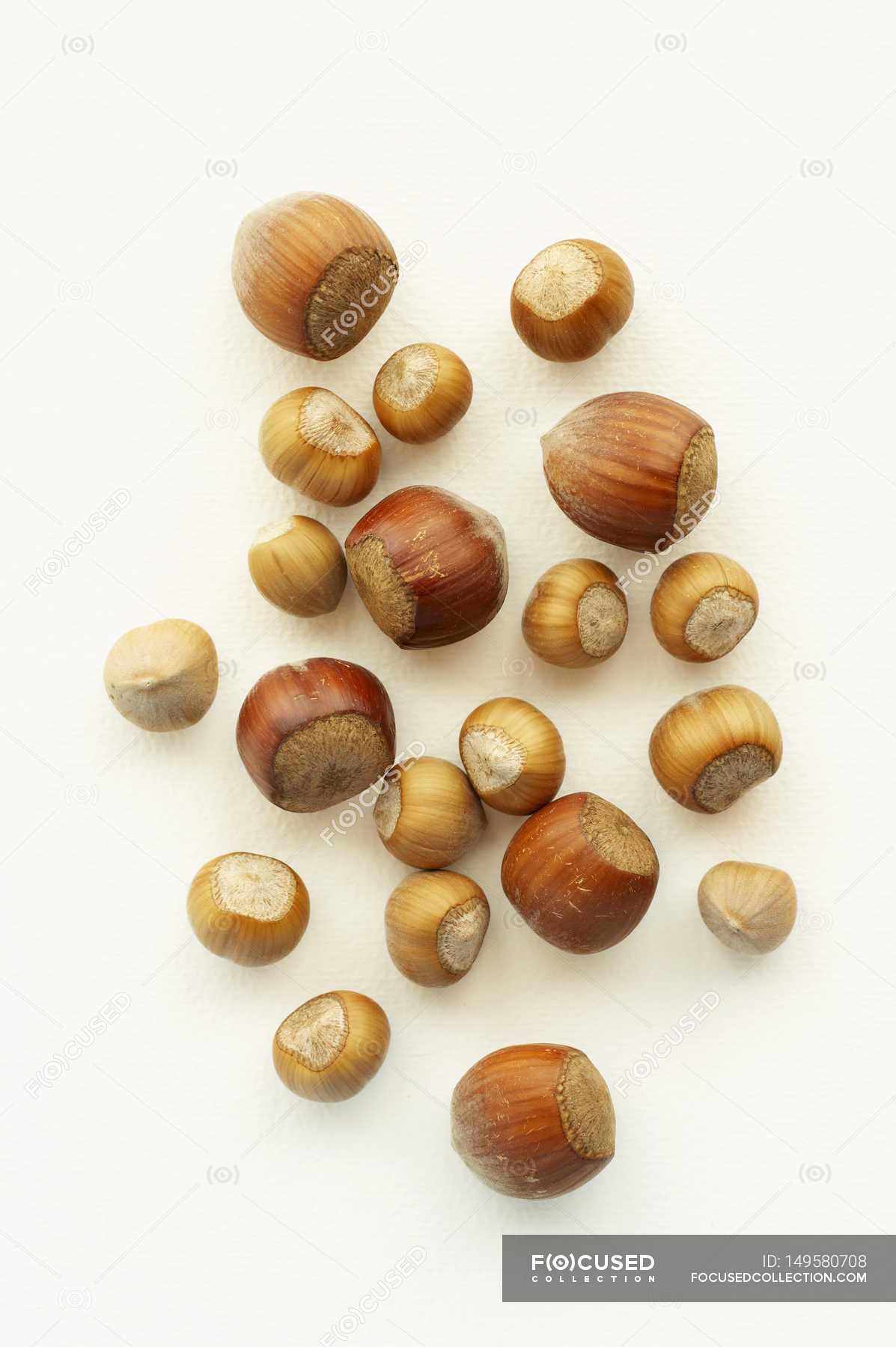 Different types of hazelnuts — super food, nutty Stock Photo 149580708
