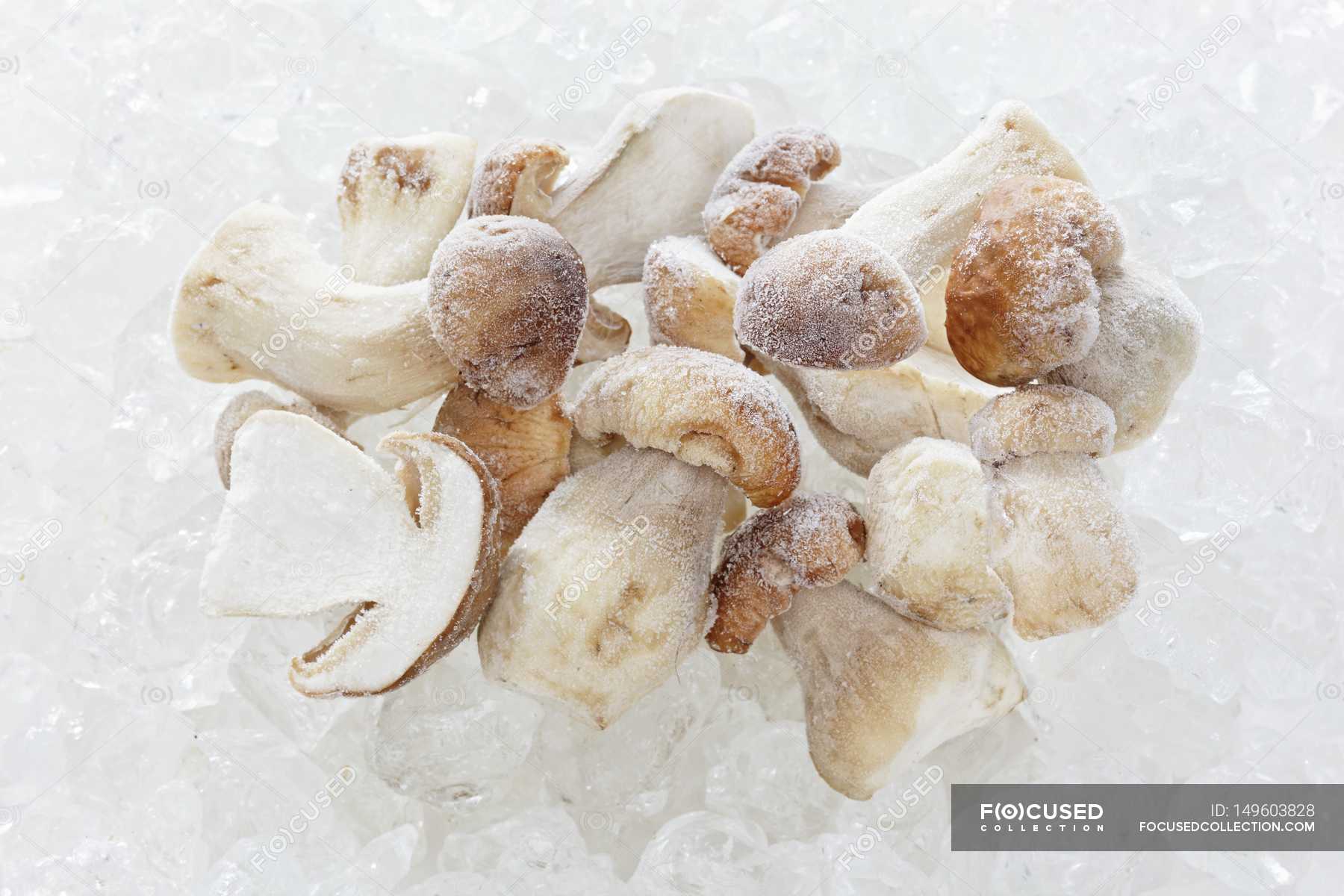 Frozen Porcini Mushrooms Ceps Uncooked Stock Photo