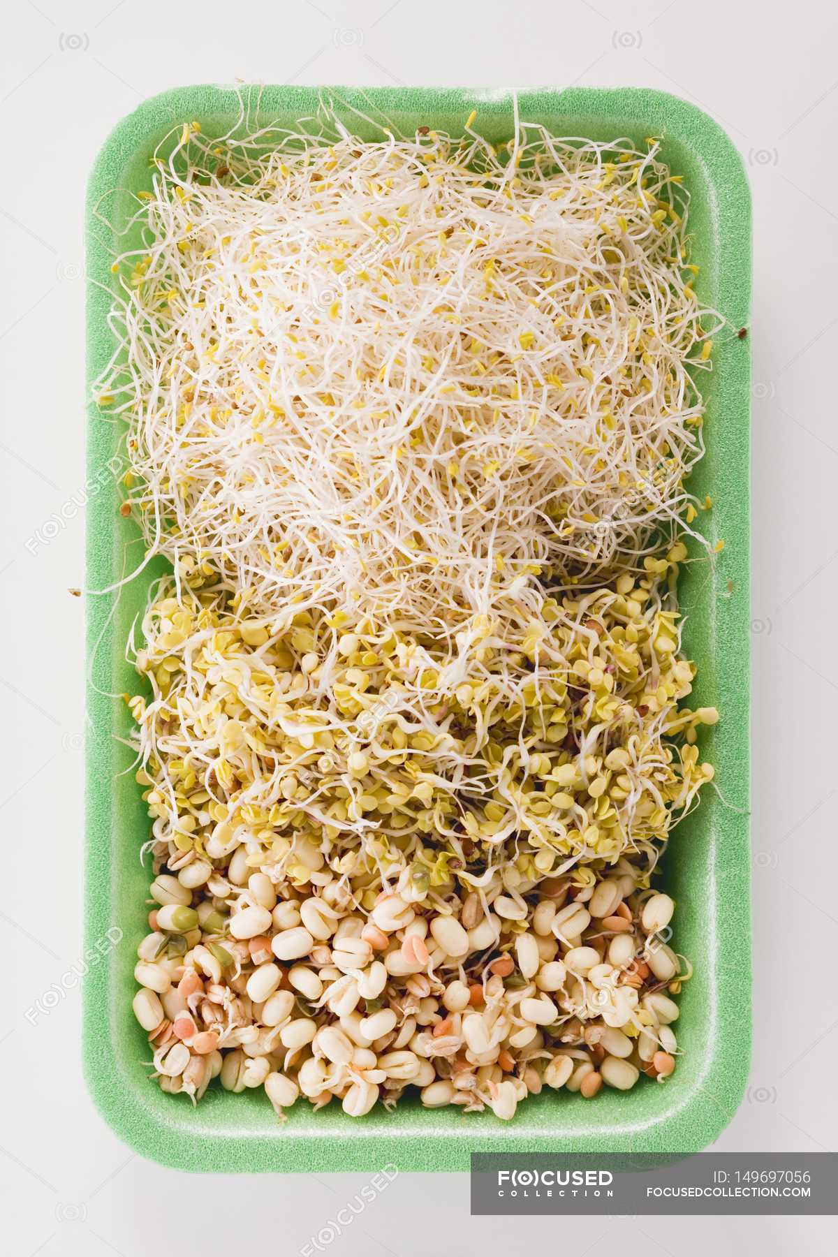 Various types of sprouts — ingredients, green Stock Photo 149697056