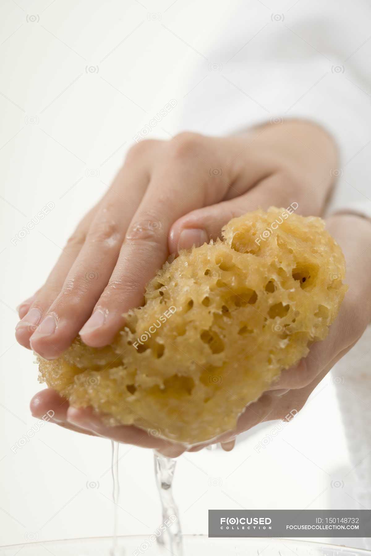 Губка для впитывания воды. Губка в воде. Мокрая губка. Мокрый спонж. Сжатая губка.