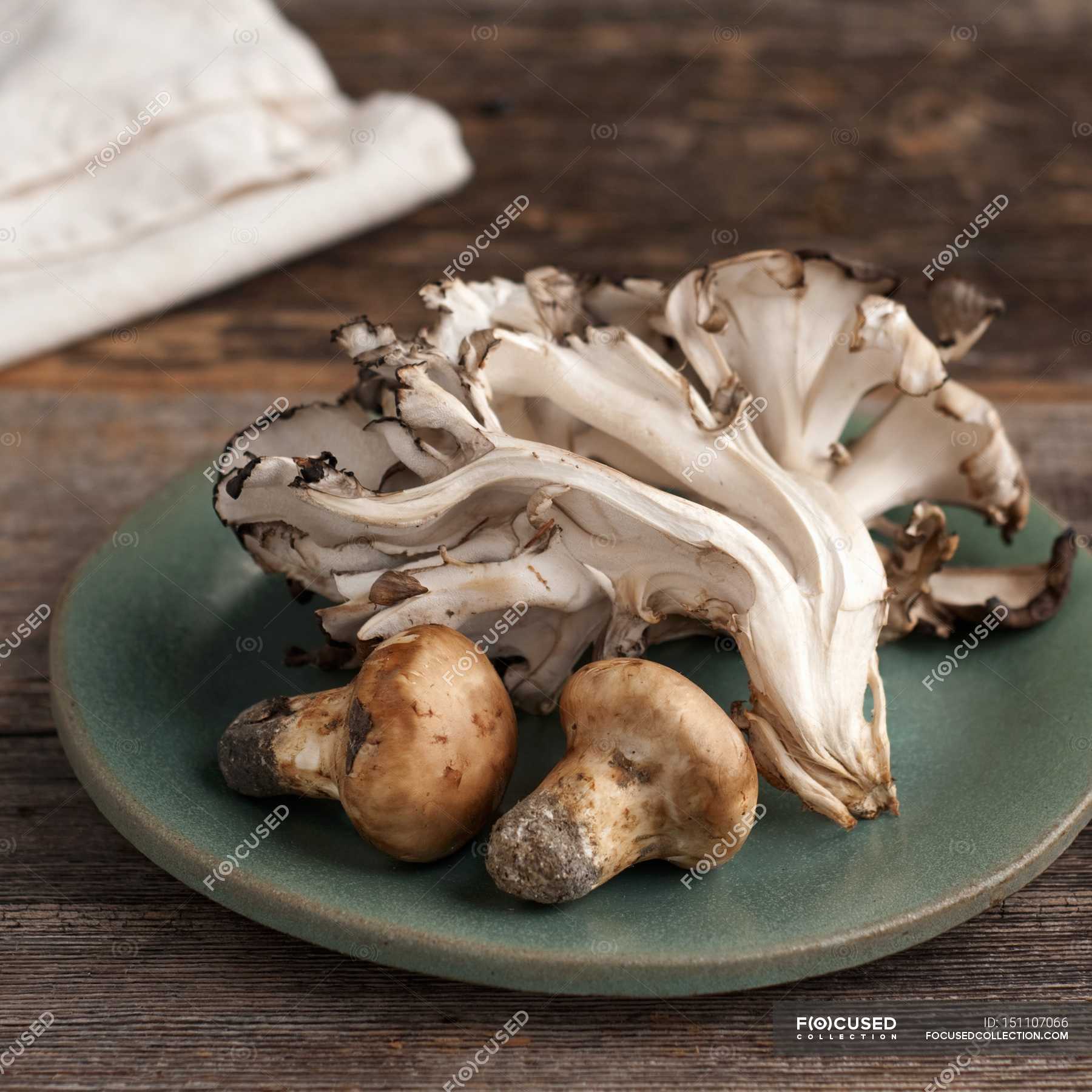 Wild Matsutake and Maitake Mushrooms — delicious, meal Stock Photo