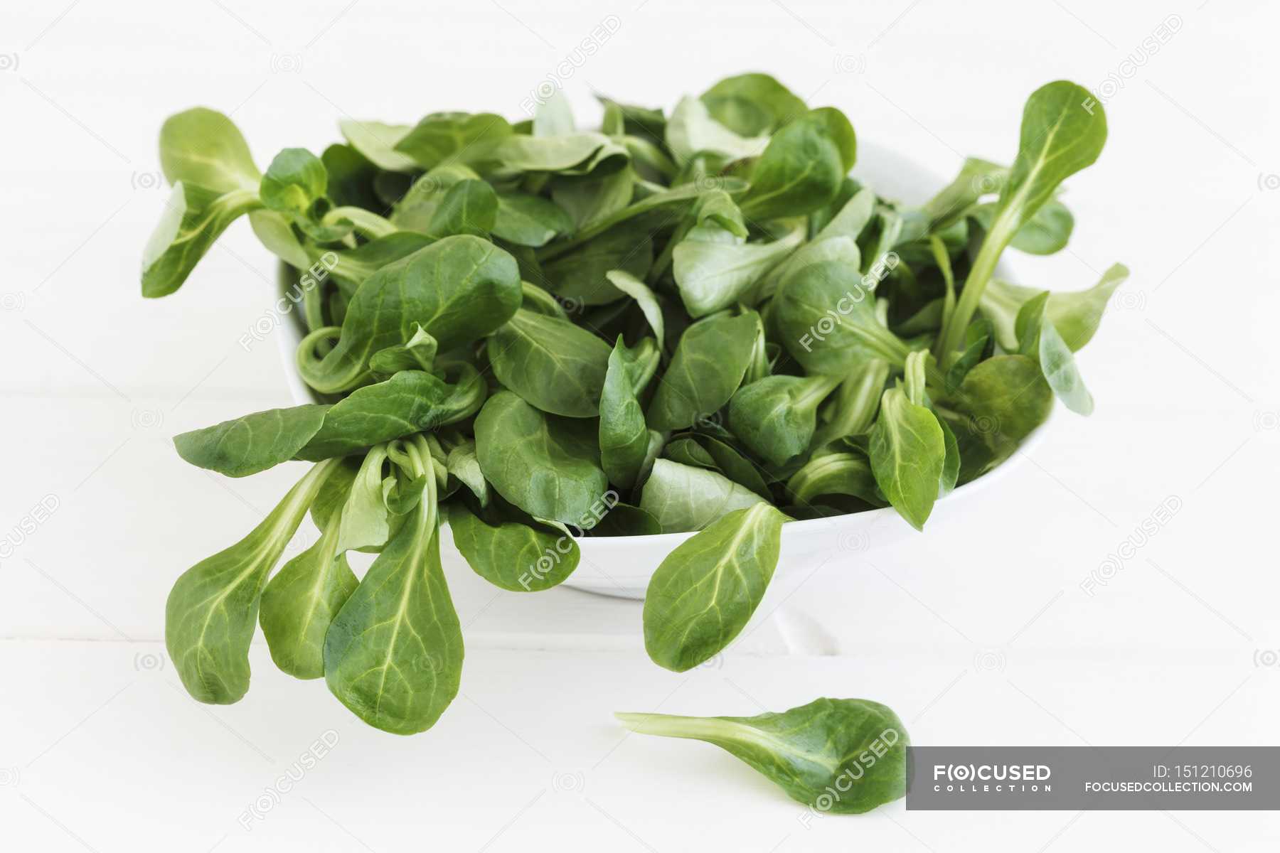 Bowl of fresh lambs lettuce — vegetarian, nutrition Stock Photo