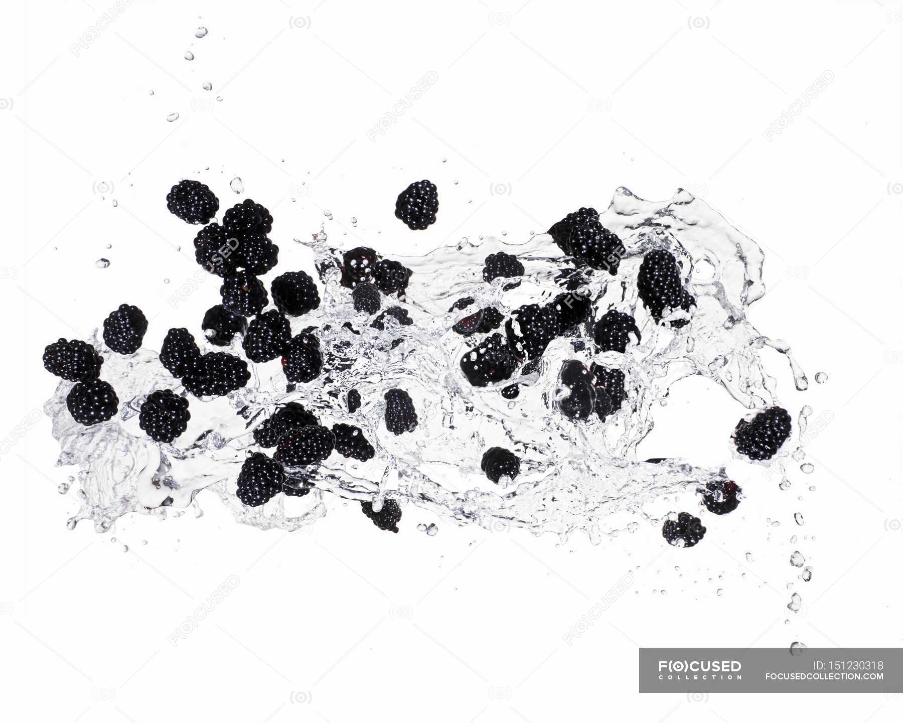 blackberries-and-splash-of-water-delicious-lifestyle-stock-photo