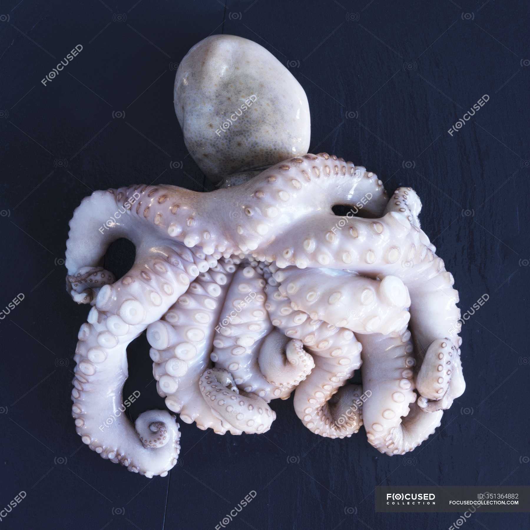 fresh-raw-octopus-delicious-cuisine-stock-photo-151364882