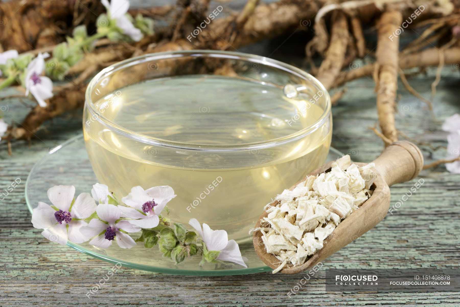 Marsh mallow root tea — nutrition, natural therapy Stock Photo