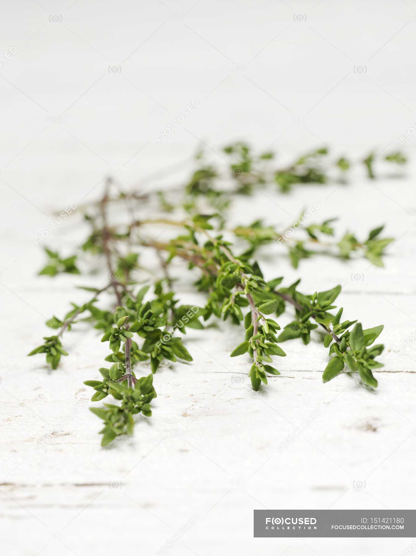 Sprigs of fresh thyme — unprocessed, eating Stock Photo 151421180