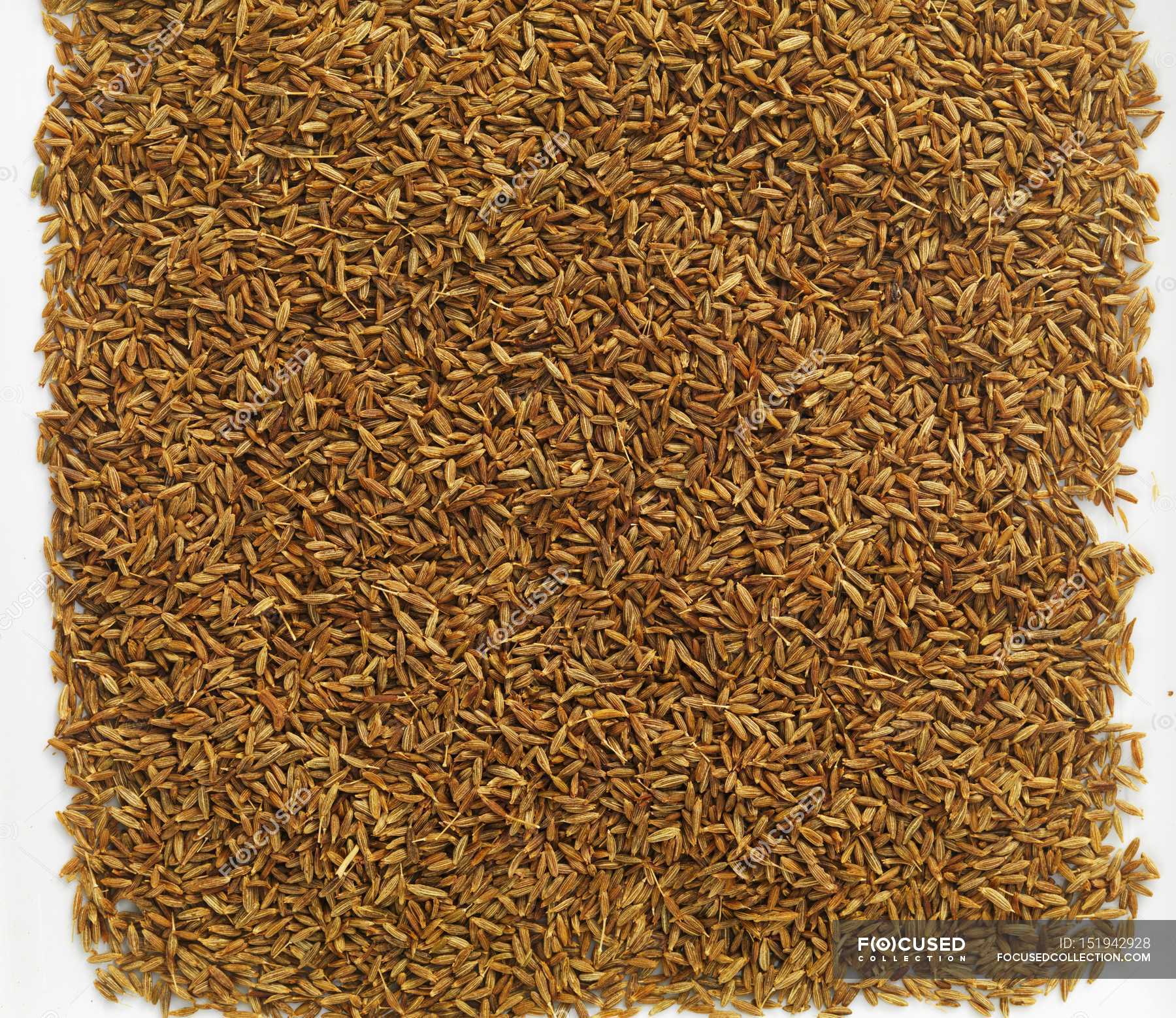 Top view of caraway seeds background — edible, details - Stock Photo
