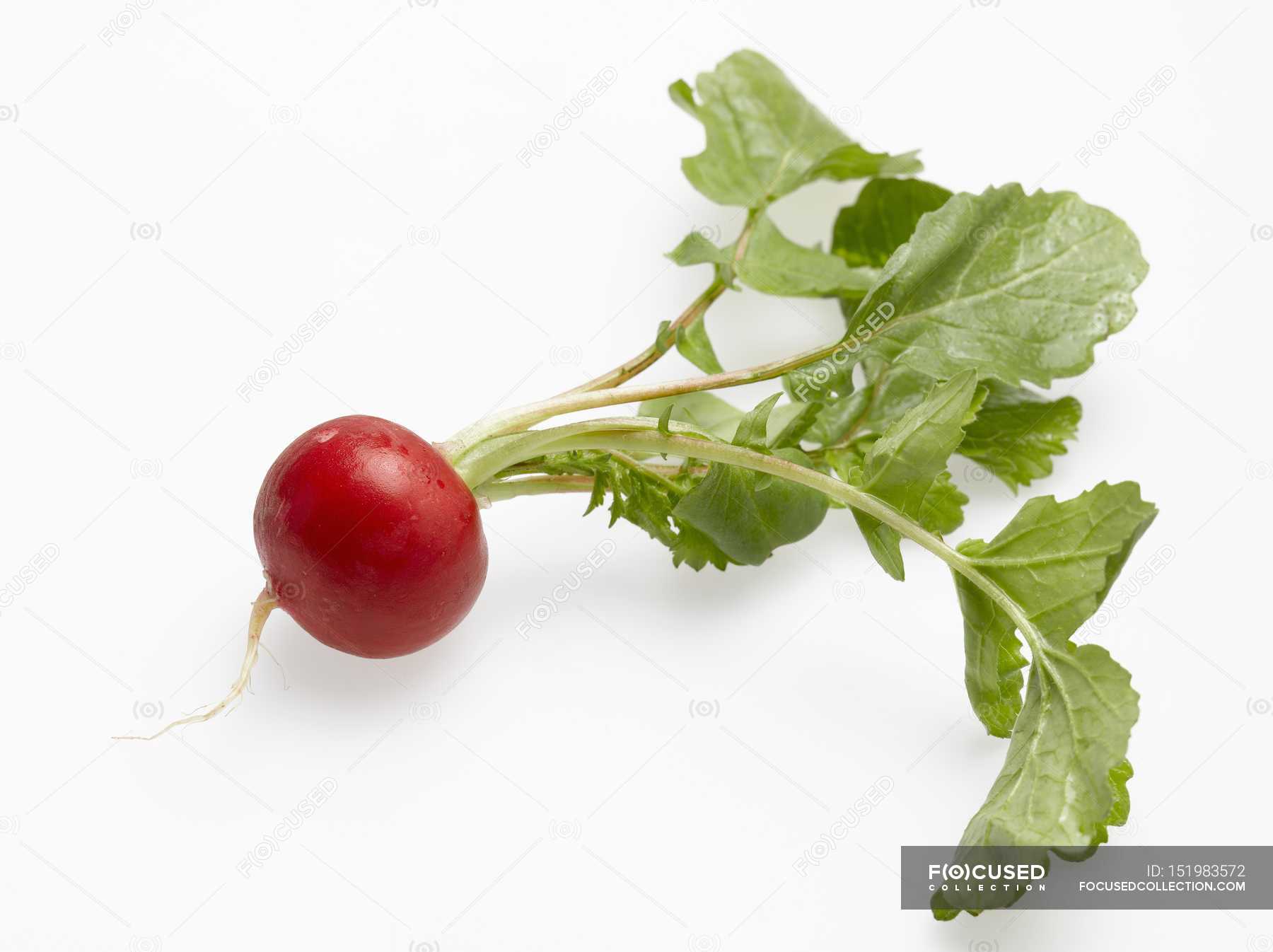 Fresh Radish With Leaves Raw Food Cooked Stock Photo