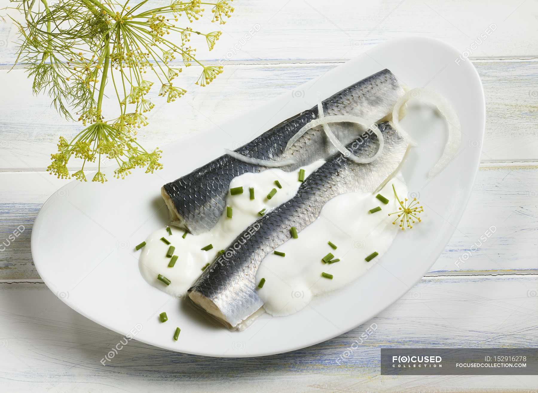 Herring fillets with sauce — chives, cuisine Stock Photo 152916278