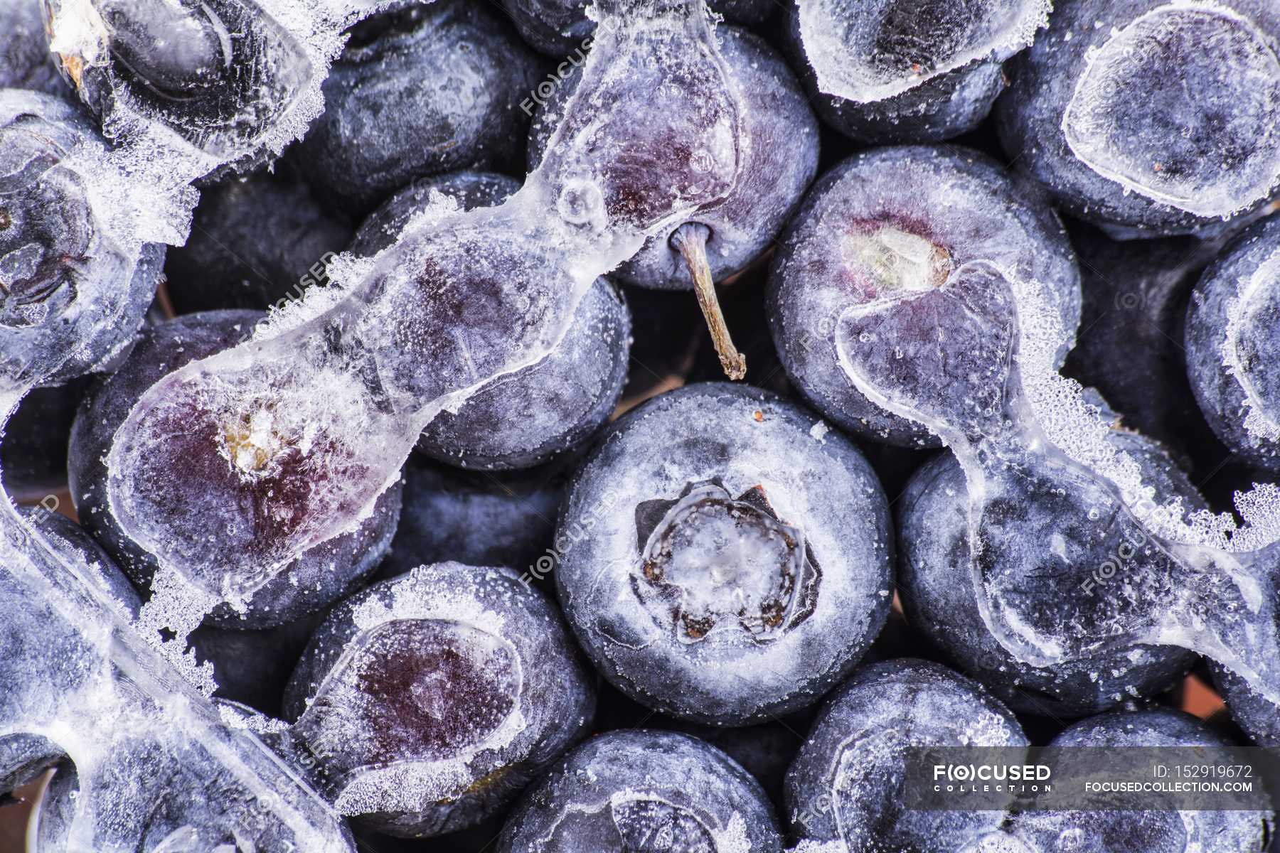 Frozen blueberries with ice — background, organic food - Stock Photo ...