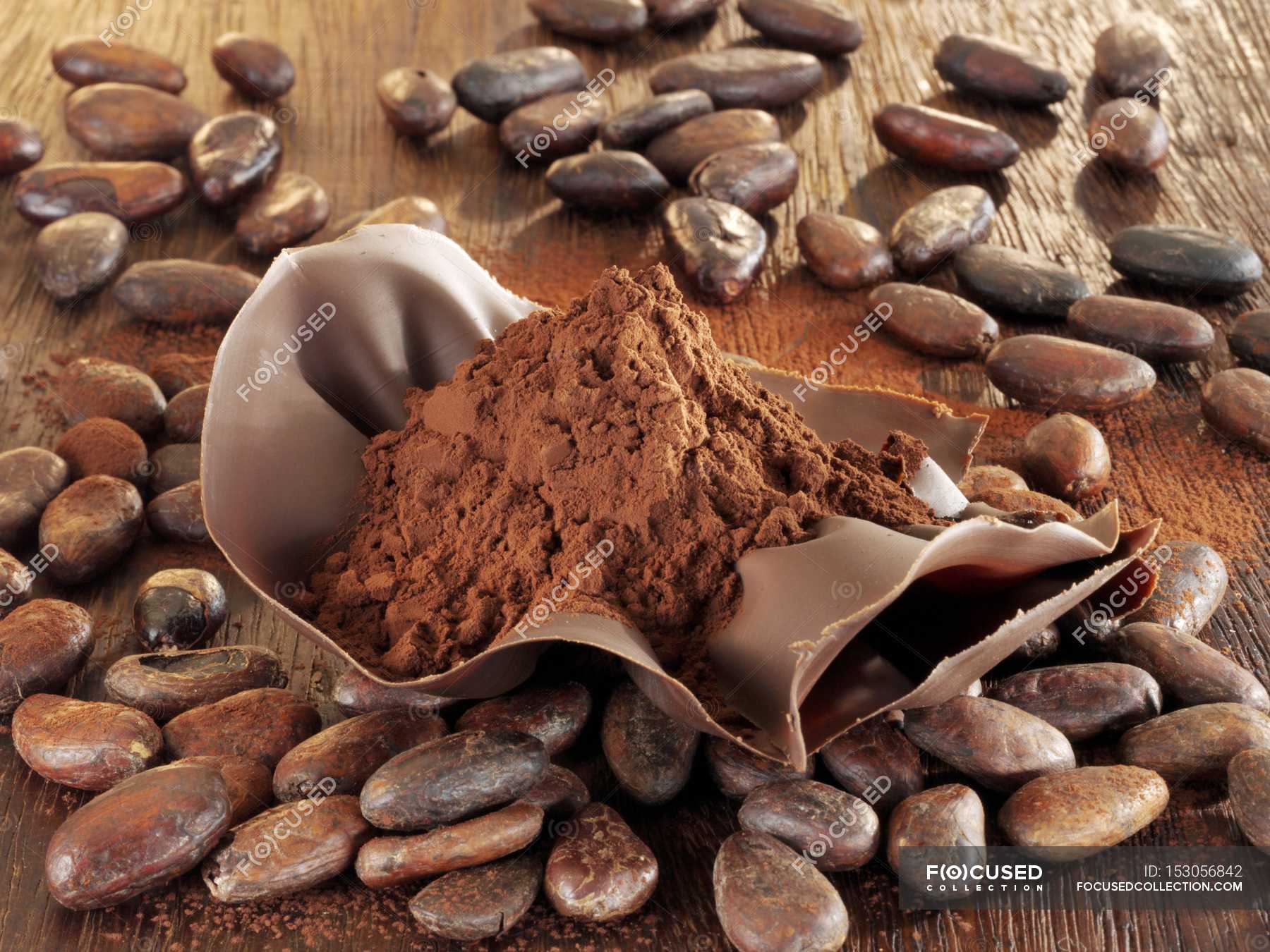 Шоколад в порошке. Шоколад и какао порошок. Какао порошок алкализованный, Theobroma, 10-12%. Какао Бобы и порошок. Сырье для шоколада.