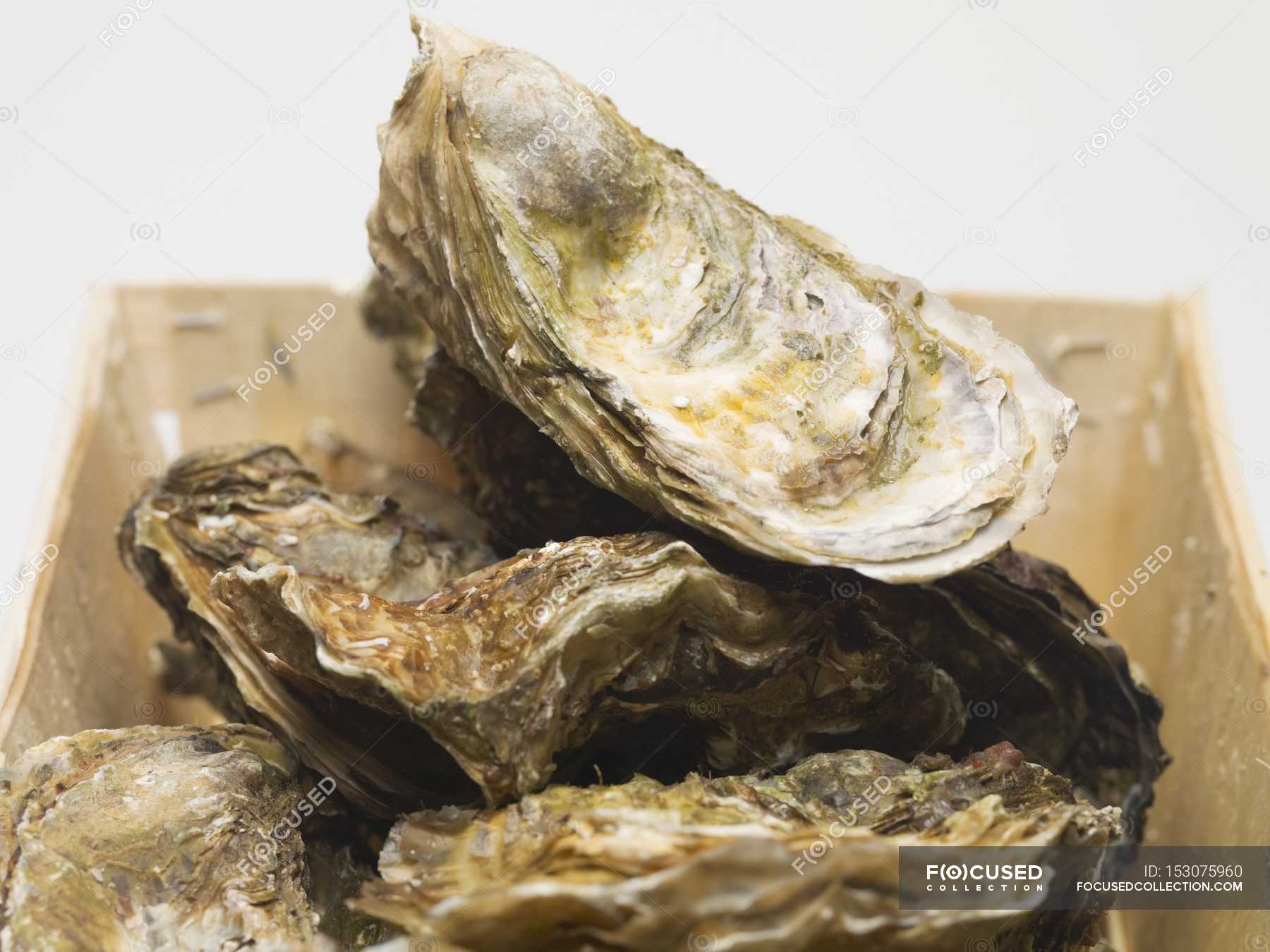 Fresh oysters in shells — woodchip, cuisine Stock Photo 153075960
