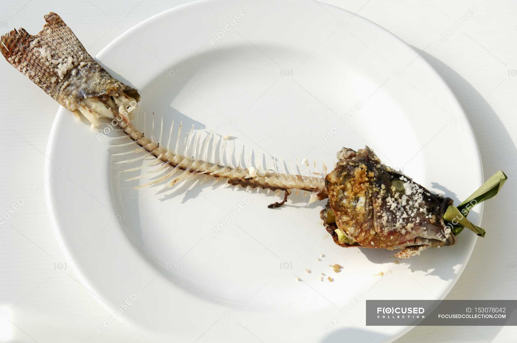 Vista de cerca de huesos de pescado de tilapia en un plato — Sabroso