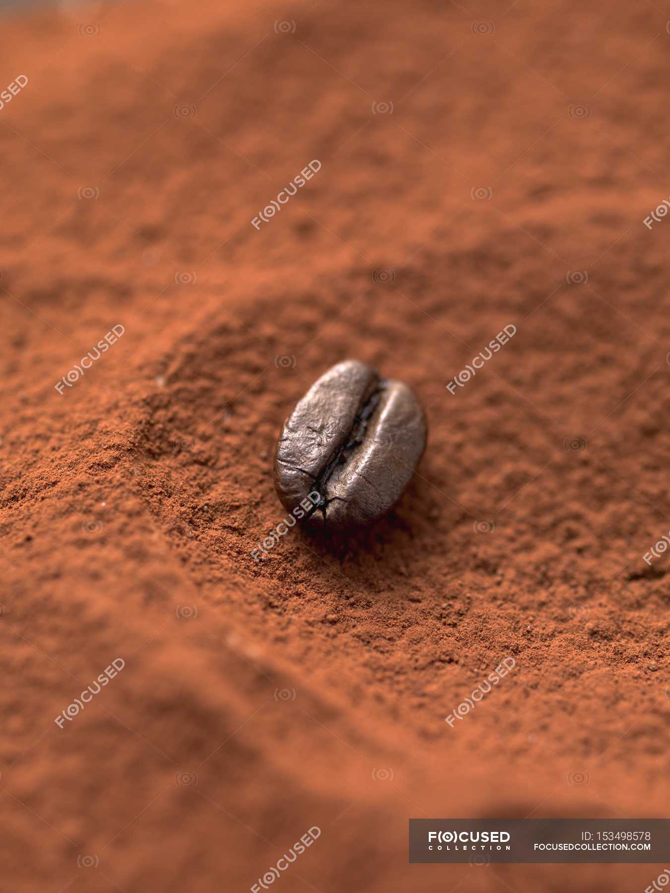 Mocha bean in cocoa powder — uncooked, nutrition Stock Photo 153498578