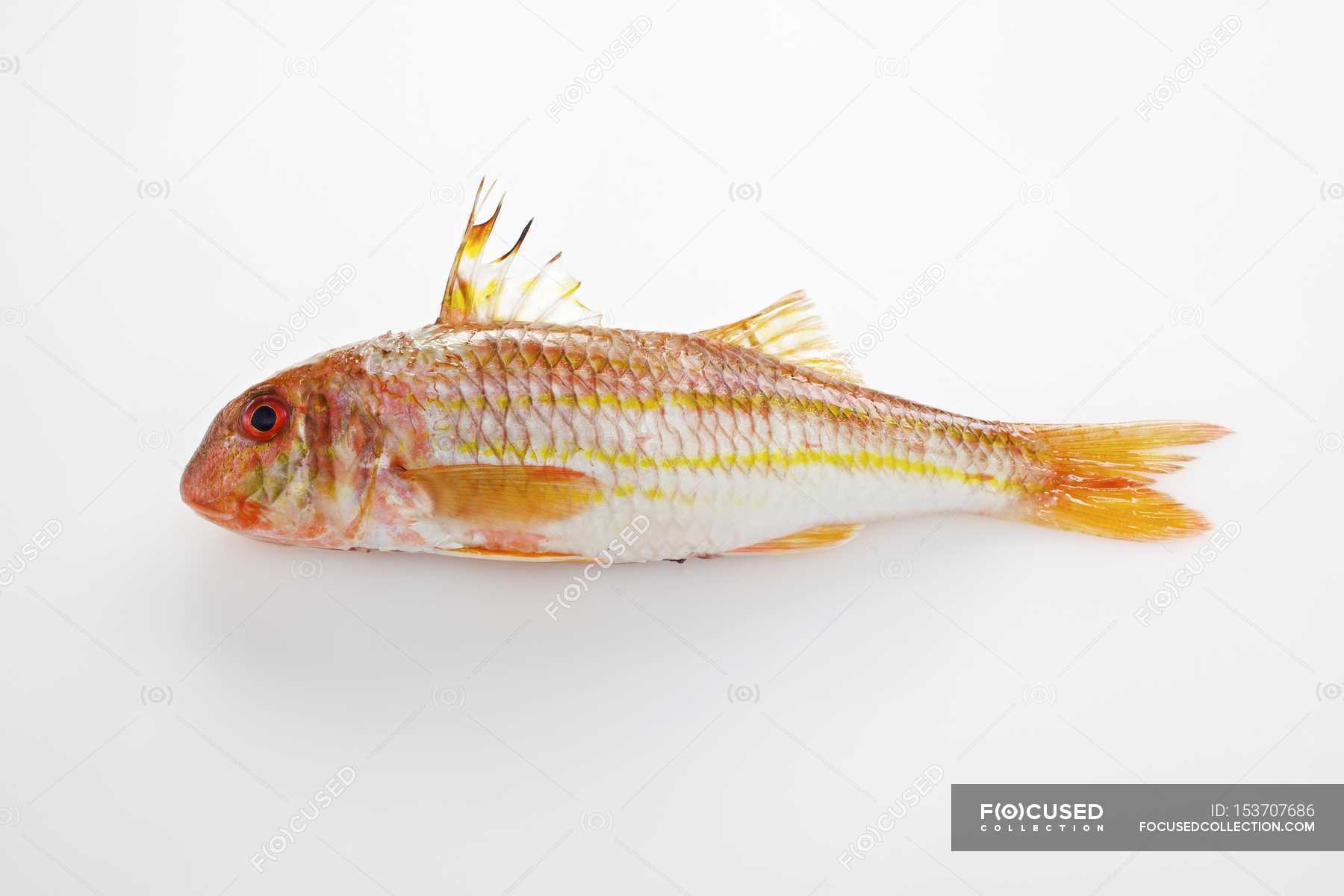 Рыба Цезарь Фото